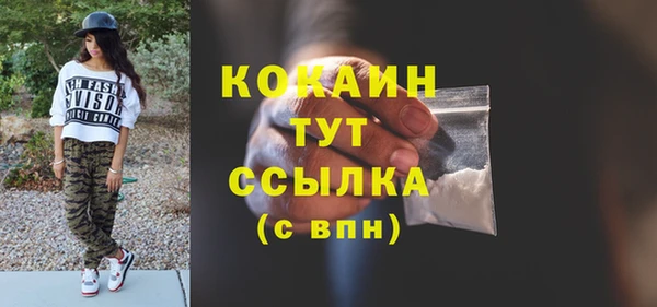 соль ск Снежногорск