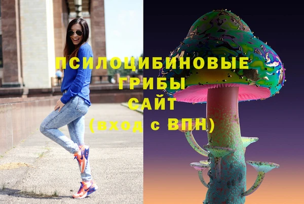гидропоника Богородицк
