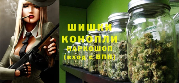 спиды Богданович