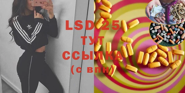 спиды Богданович