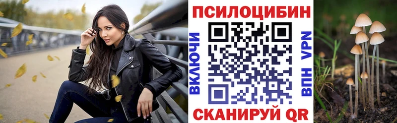 блэк спрут рабочий сайт  Кодинск  Галлюциногенные грибы прущие грибы 